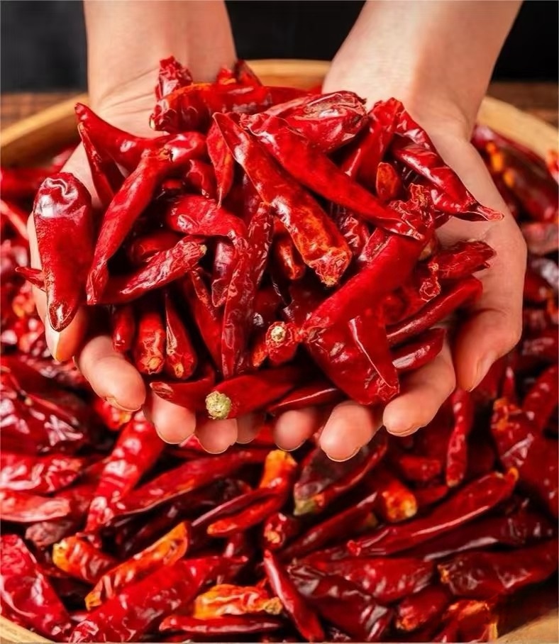 Wholesale Bulk Dry Red Chili Spicy Beijing Red Chili Single Spices Kosher Certified Haccp Compliant Packaged in Bags