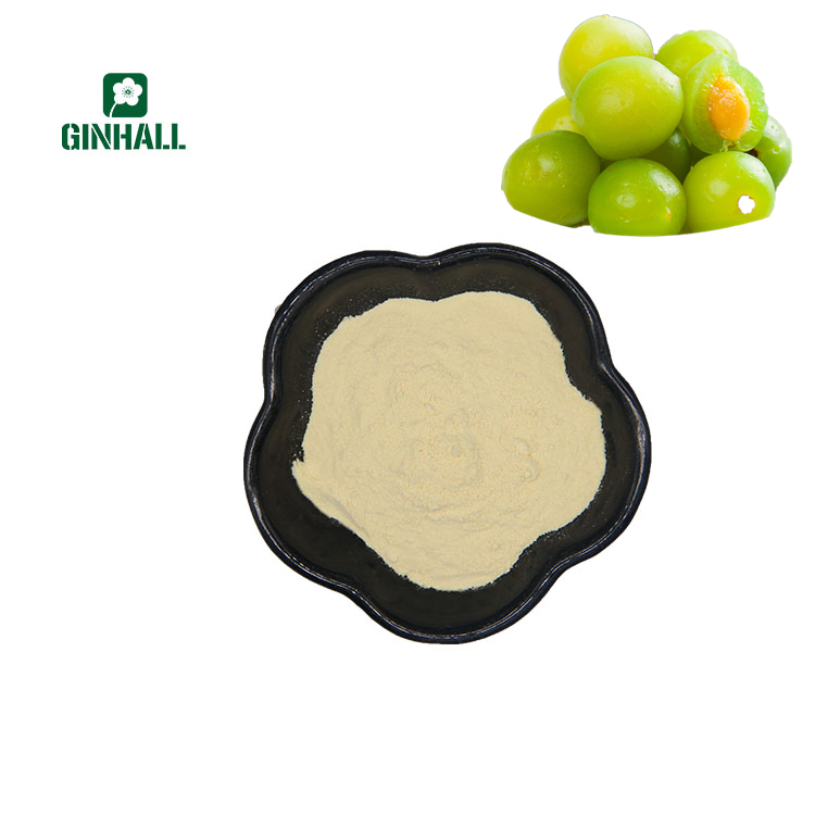 Manufactory supply lowest price greengage powder fruit extract dired green plum extract powder