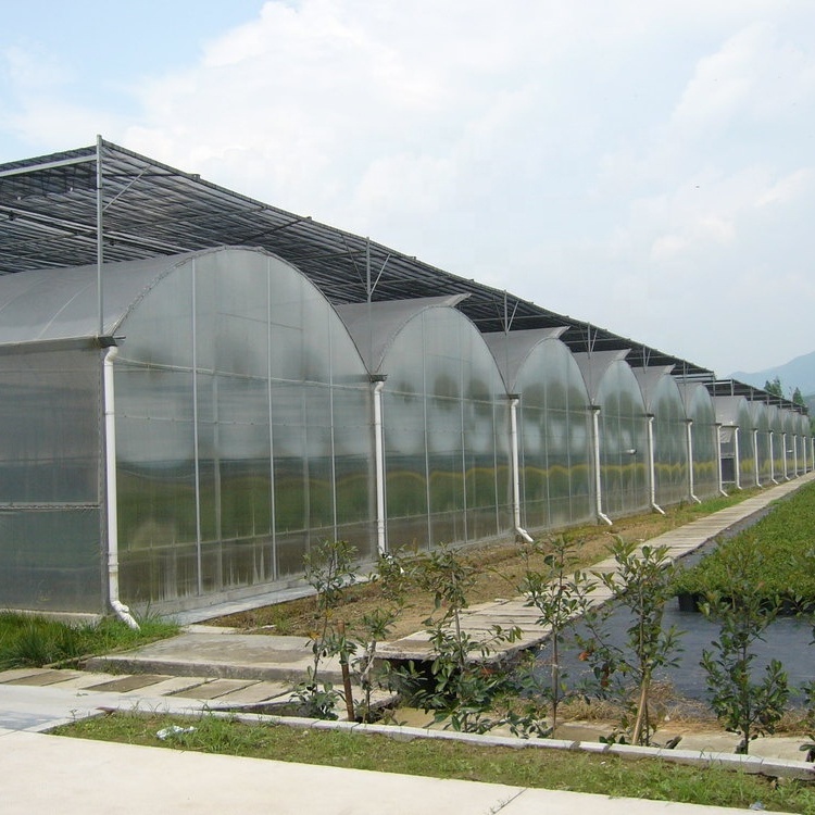 Multi-Span пластиковая пленка Hydroponic System теплица для овощей