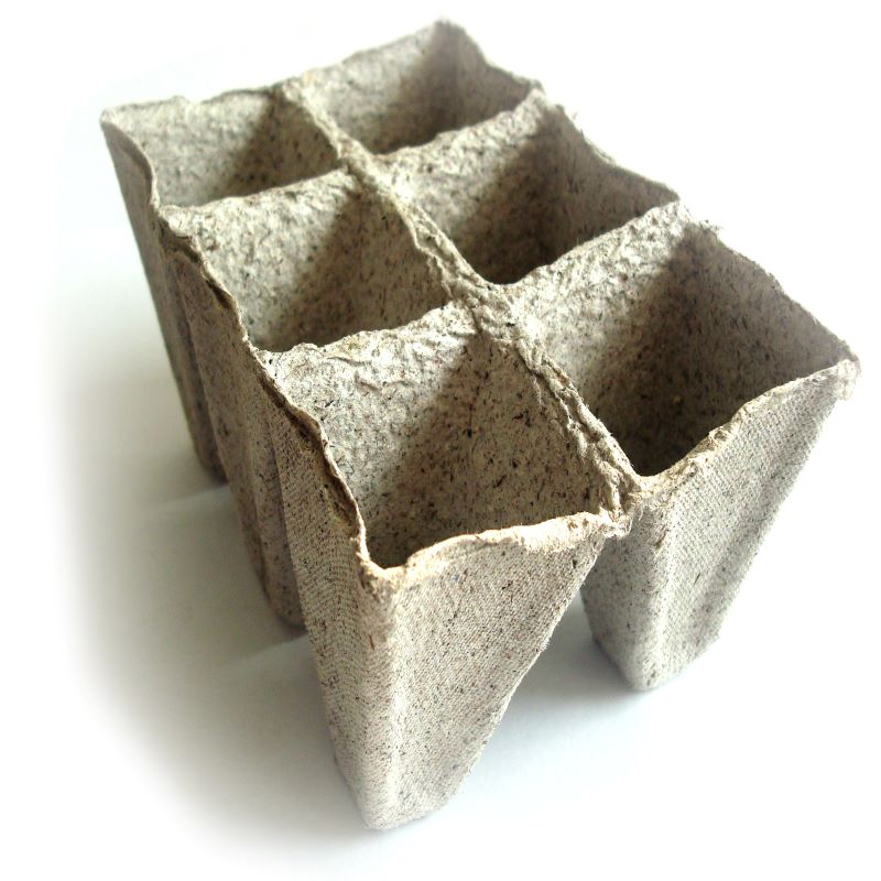 China supplier biodegradable 6 cell strips vegetable sprouting plant pots tray