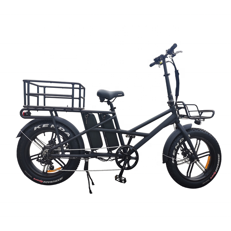 Long range double battery electric bicycle 2 wheel cargo bike