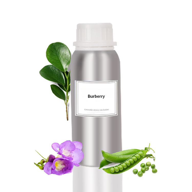 Concentrated Perfume Oils Aroma Essential Oils Popular Branded Perfume Fragrance Oil For Scent Air Machine