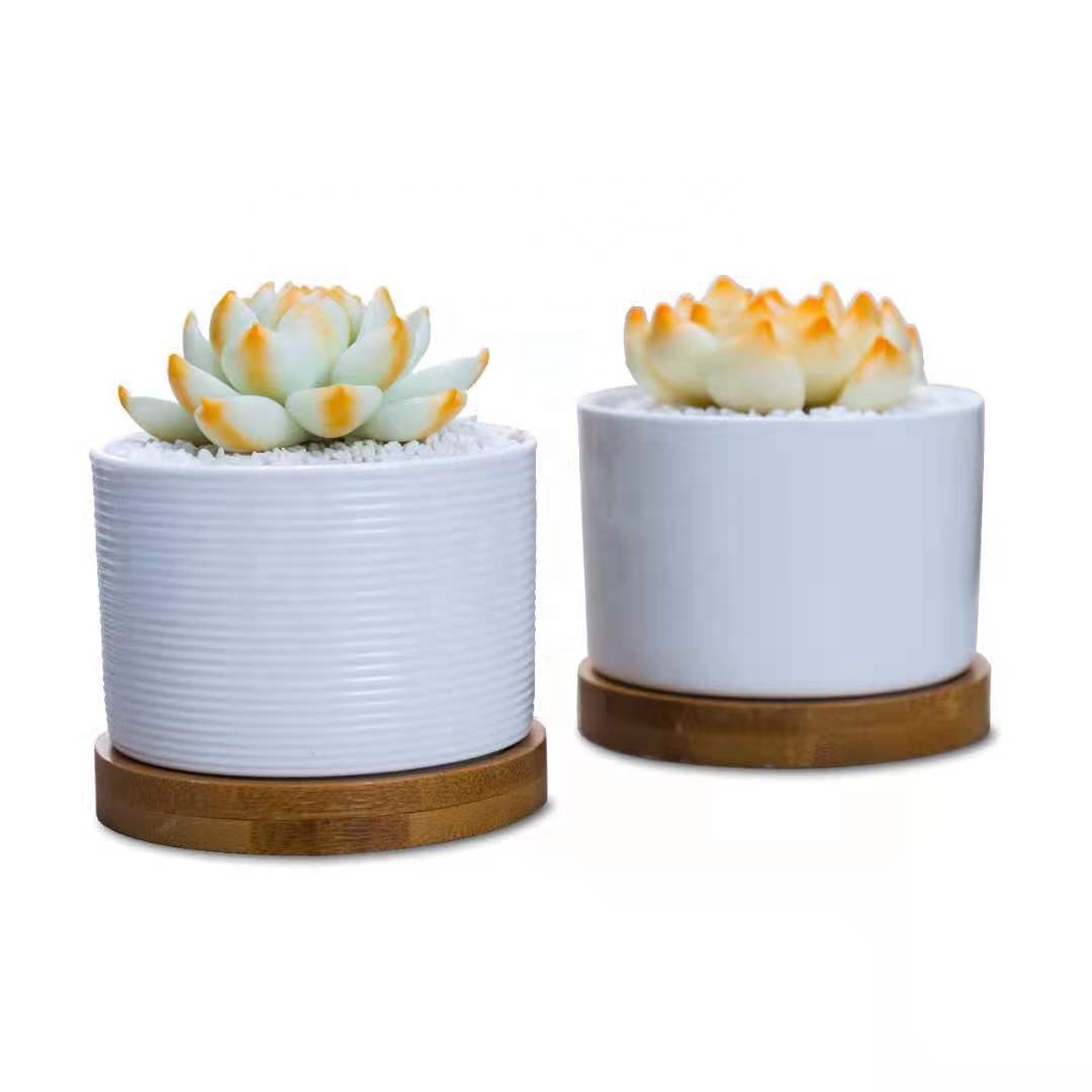 brief white smooth stripe round ceramic pot for succulents with bamboo tray
