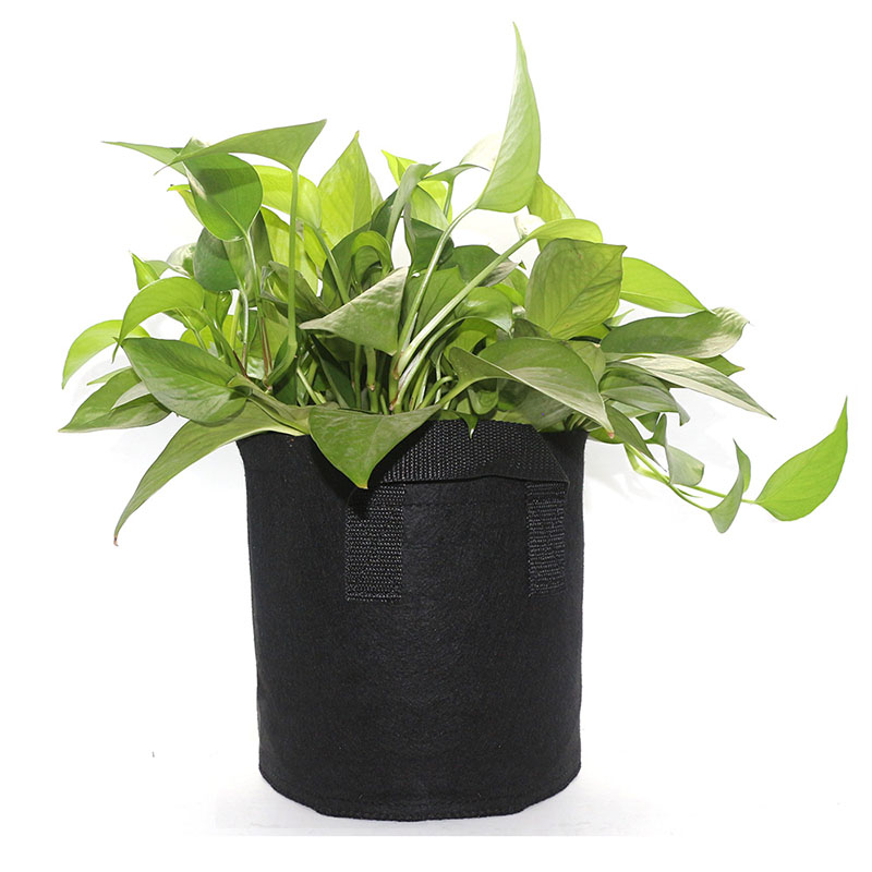 High performance garden plant grow bags meet different needs