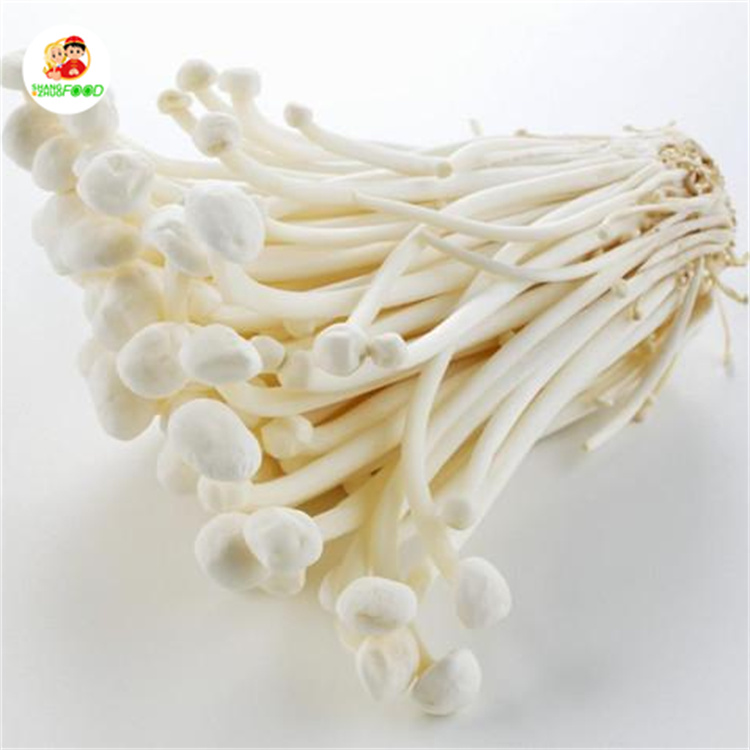 Оптовая торговля гриб enoki высокое качество свежий гриб enoki из Китая