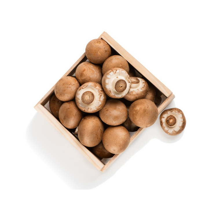Help Stomach Good Taste Rootless Thick Flesh Mushrooms Freeze Dried Shiitake Mushroom
