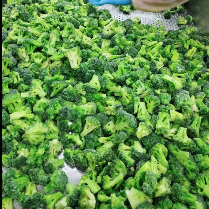 IQF Vegetables Experienced Supplier High Quality Frozen Broccoli