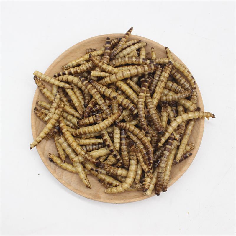 Great Standard Dried Food Super Worms for Bird Hamster