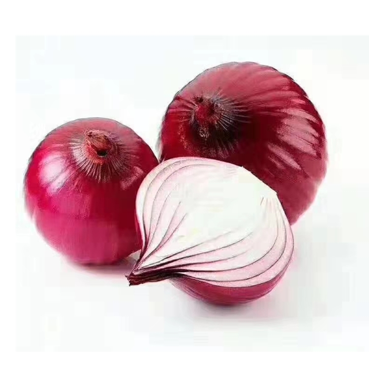 Fresh best quality cheap price red/yellow onion