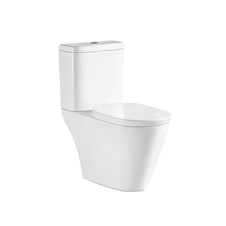ZHONGYA Chinese Sanitary Ware Bio Modern Ceramic Gravity Flushing bath 2 piece toilet