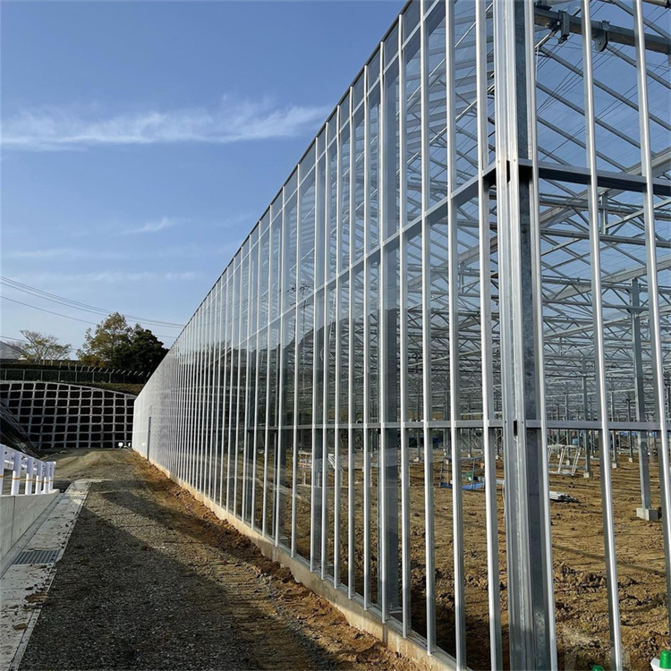 Hot-selling Hydroponic Intelligent Glass Greenhouse Victorian Greenhouse For Tomato