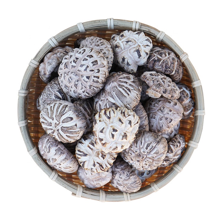 Natural Shiitake Mushroom Dried Shiitake Mushroom white Shiitake Mushroom