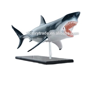 V-AM052 4D MASTER shark animal, анатомическая модель для школьного обучения