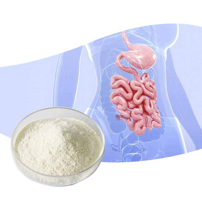 Xian muzi высшего класса, стандарт EP, пробиотики lactobacillus plantarum оптом