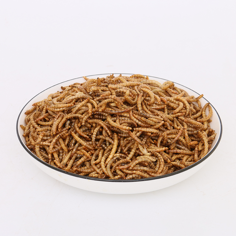 Cat food dry mealworm freeze-dried breadworm pet food dried mealworm