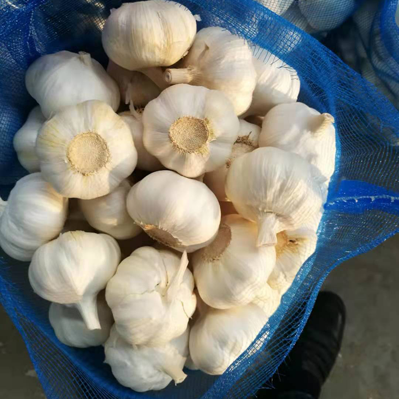 2020 свежий нормальный белый чеснок/красный чеснок от компании Jin Xiang Liming Food