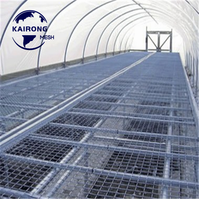 Factory Directly Supply Plant Growing Plastic Greenhouse Rolling Tray Table