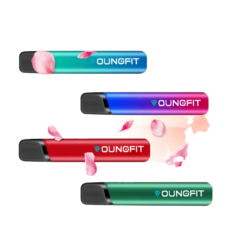 High quality 300 puffs dispo vape pen with super experience