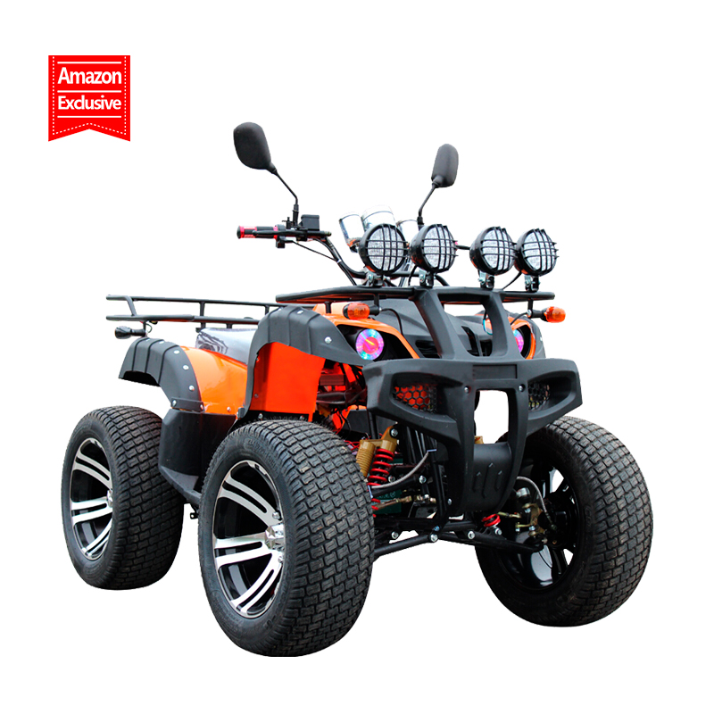 Hot Sale High Performance 250cc Off-Road Electric Atv For Wholesale