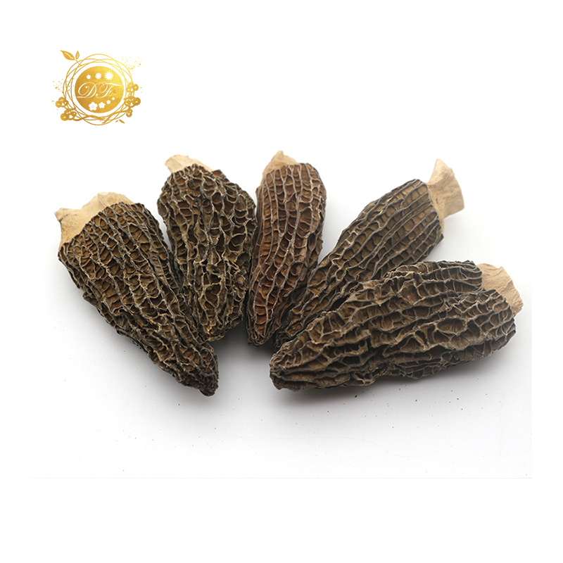 Высококачественные китайские сушеные грибы/morchella/morel