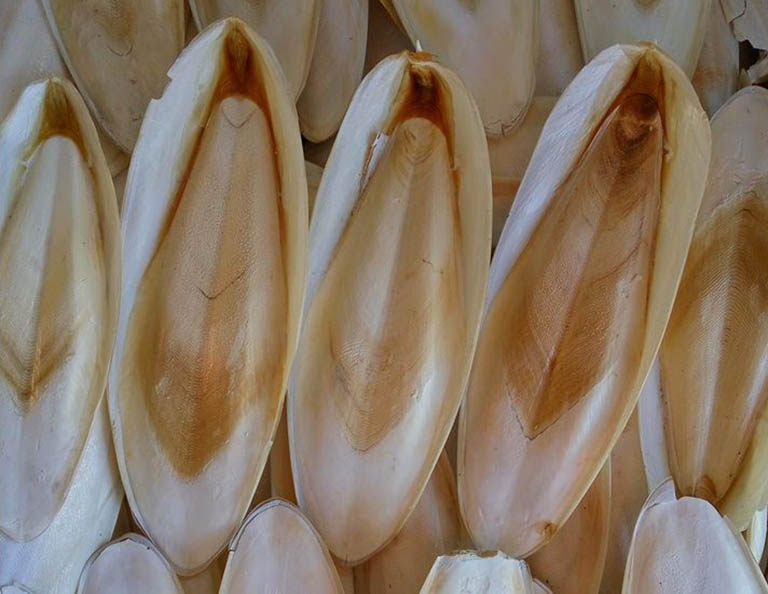 Горячая Распродажа, кости кусачки из Вьетнама, низкая цена