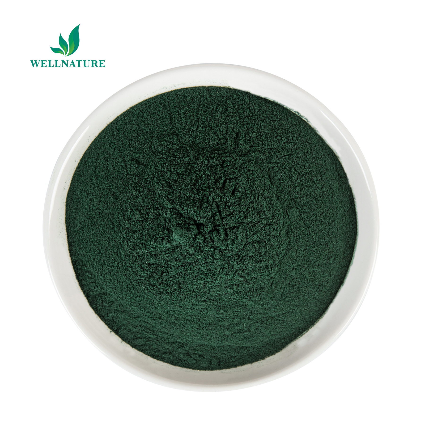 Wellnature Mulberry Leaf Extract 95% Sodium Copper Chlorophyllin