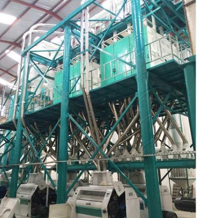 PLC control 150t/24h maize mill machine flour grinding plant for Kenya