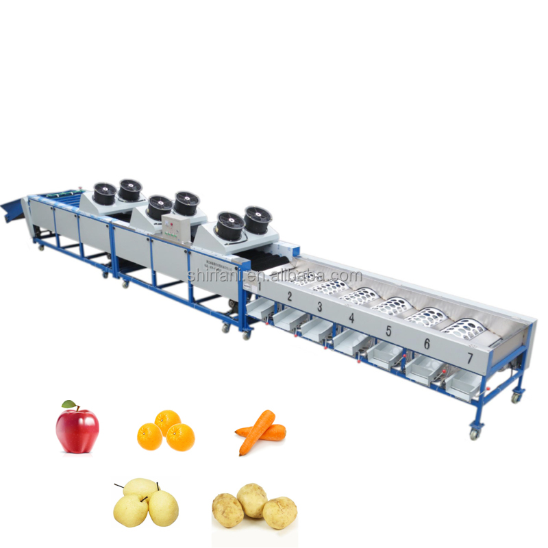 factory price automatic fruit vegetable sorting apple potato tomato orange avocado onion grading washing size weighing machine
