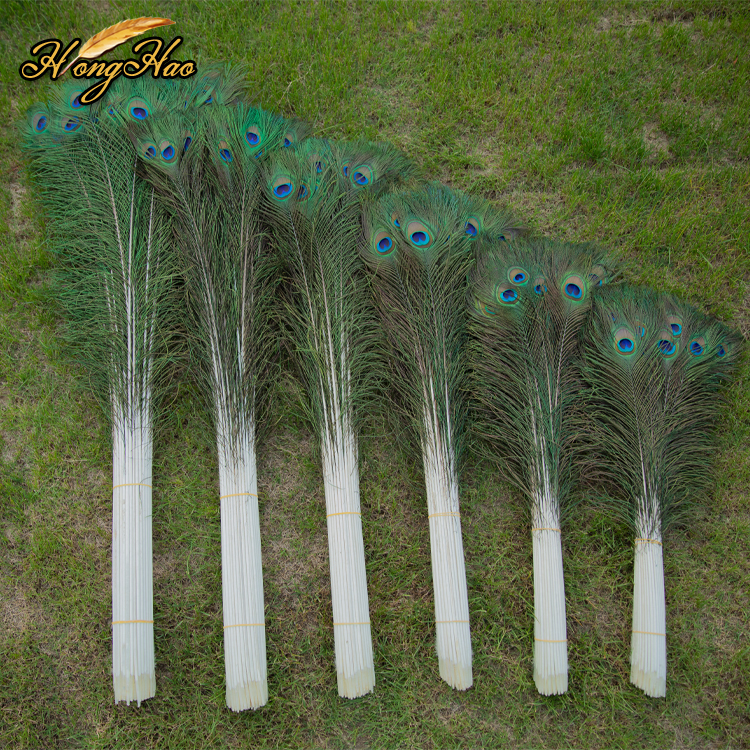 Large 70-120cm colorful peacock feathers decoration craft for sale