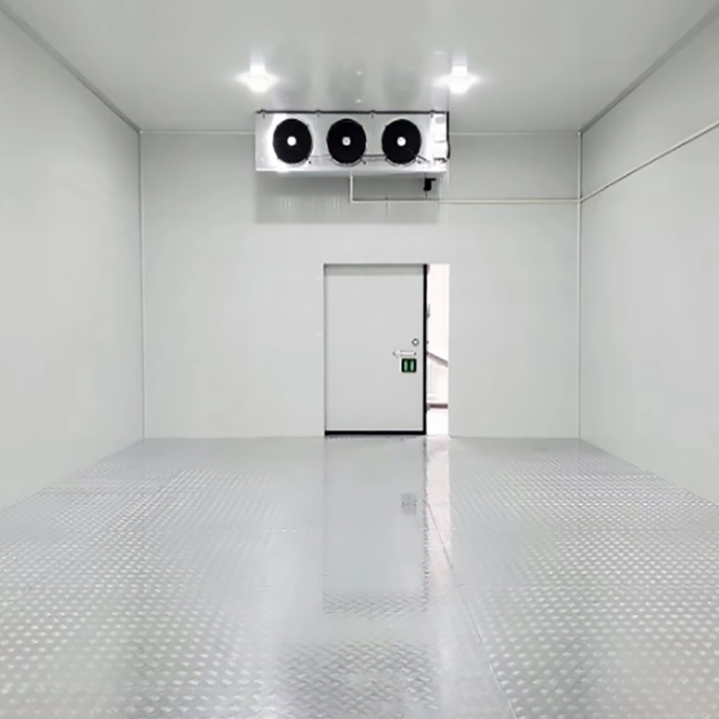 Restaurant Food Storage Deep Freezer Cold Room commercial Walk In Freezer compressor