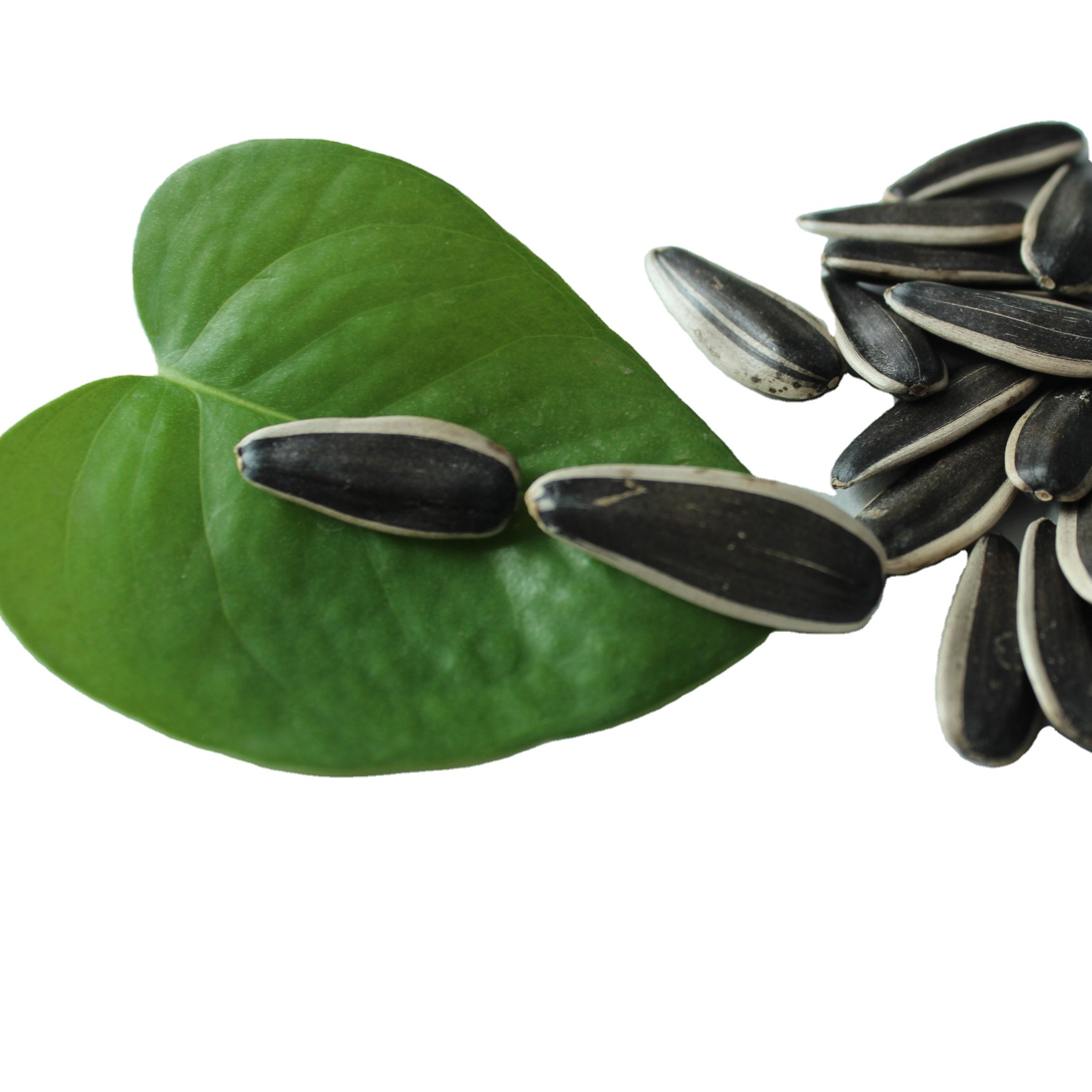 LiNiuniu factory bulk sunflower seeds 363 361 601 5009