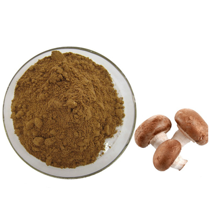 Organic Shiitake Mushroom Extract Powder Lentinan Shiitake Mushroom Powder Polysaccharide 50%