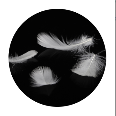 Popular White Duck Feather 2-4cm Cushion Pillow Insert Manufactures Widely White Duck Feather Chshion For Body Back