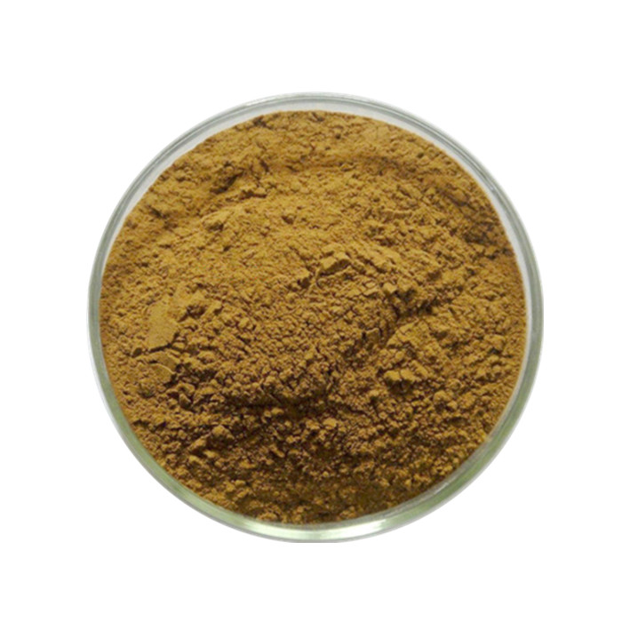 100% Natural Organic Chaga extract Chaga Mushroom Extract Polysaccharide Powder 30%