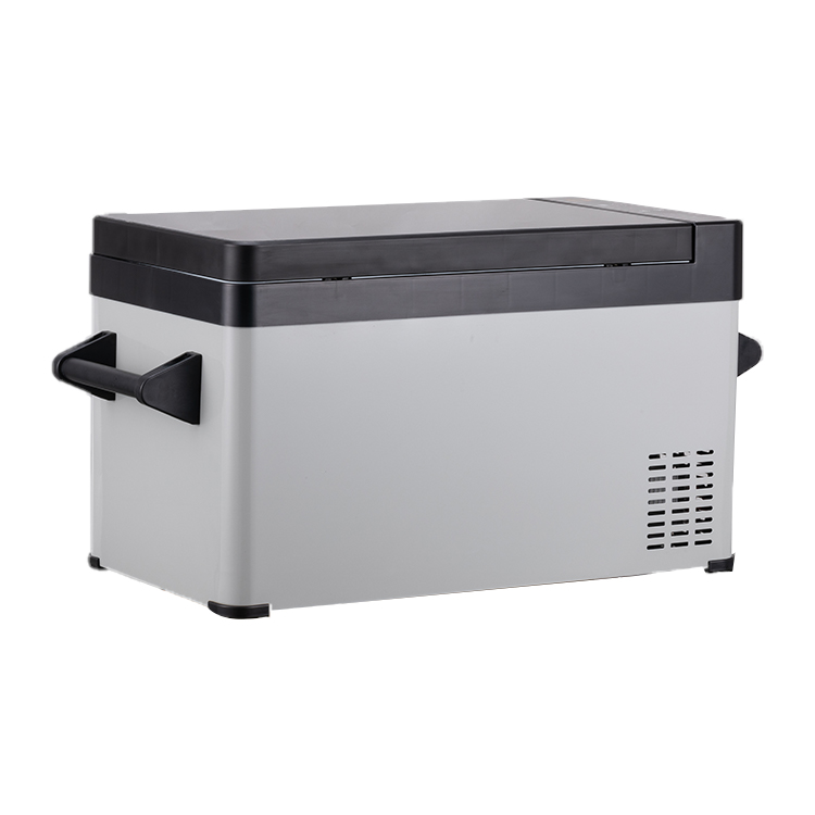 DC 12 V/24V мини холодильник Открытый Кемпинг портативный компрессор автомобильный морозильник автомобильные холодильники
