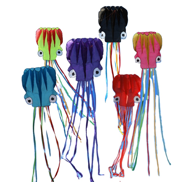 Amazon Hot 2021 Custom Logo Cheap High Quality Kite Toys for Kids Color Hand Flying Kites