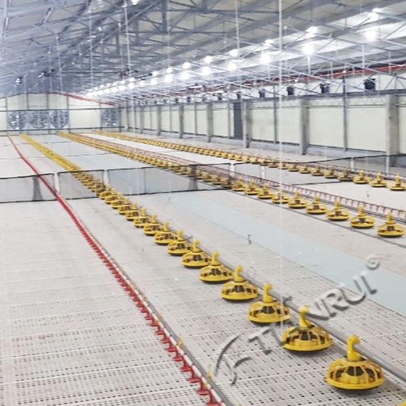 Broiler Poultry Farm Equipment