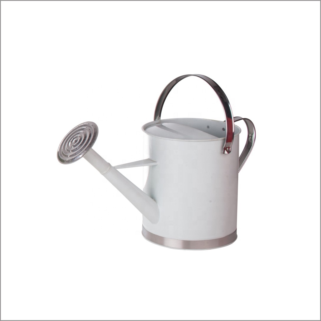 Stainless Steel Plant Galvanized Metal Garden Watering Can