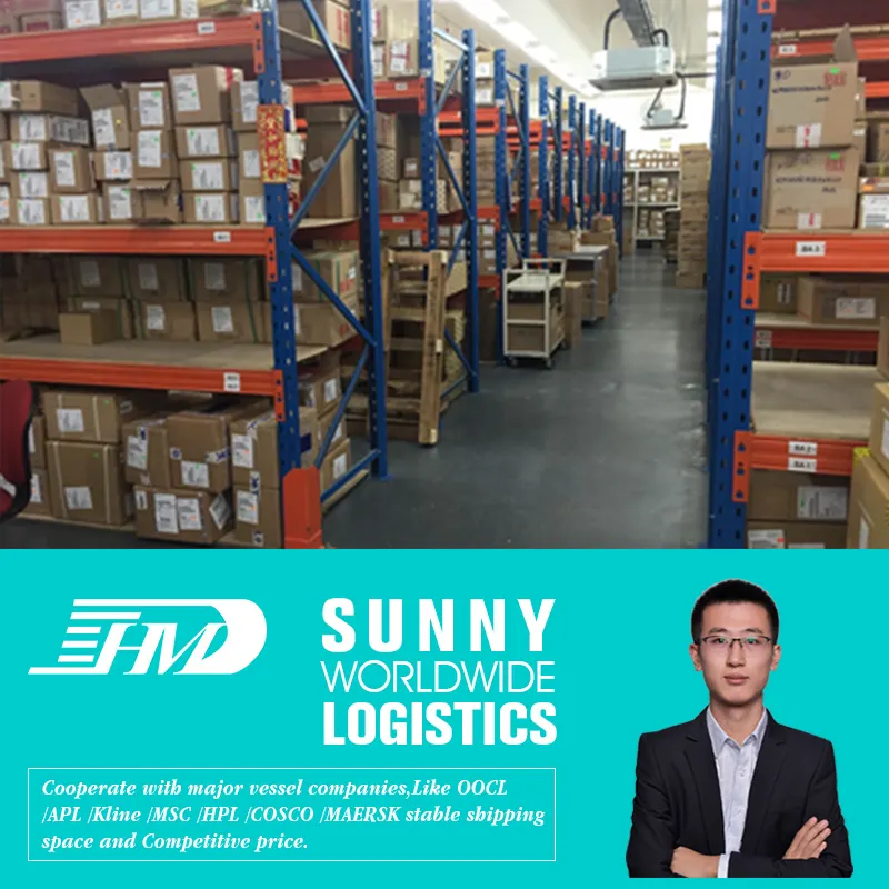 Reliable Shipping Agent With Warehouse Service From Shenzhen China To Worldwide