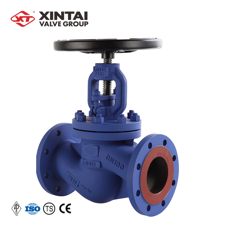 Шаровой обратный клапан XINTAI DN100 DIN для нефтехимической промышленности, немецкий стандарт