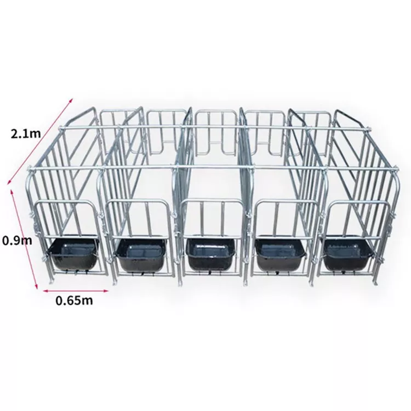 Automatic Layer Cage for Pigs - New and Used Options Available