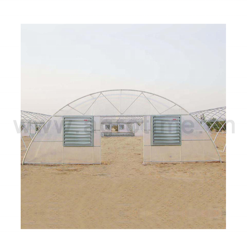 high quality tunnel greenhouse hot sale glasshouse commercial farming greenhouse