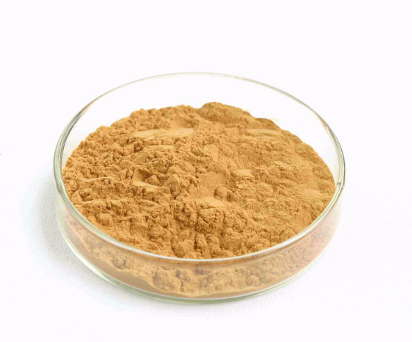 BRC Non-GMO Manufacturer Supply Free Sample Organic Extracts Solvent Extraction Monk Fruit Extract
