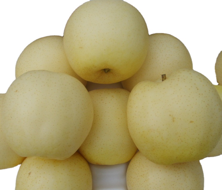 Fresh Sweet Golden Pear