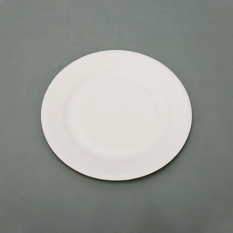 Disposable Biodegradable Compostable Bulk Paper Plate Sugarcane Bagasse For Occasions