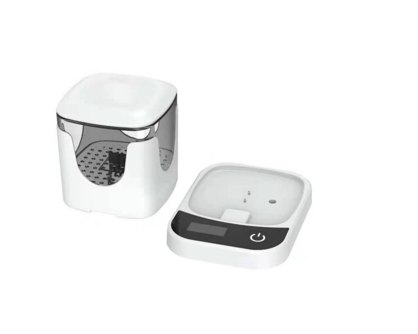 portable oral hygiene dentures sterilization acqueous electrolyzed ozone water generator