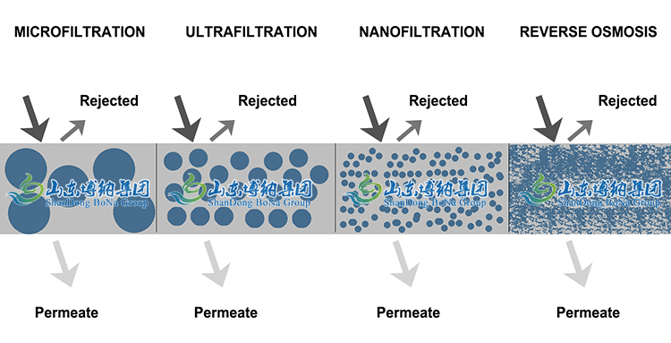 Plasma separation membrane tangential flow filtration tff protein purification system