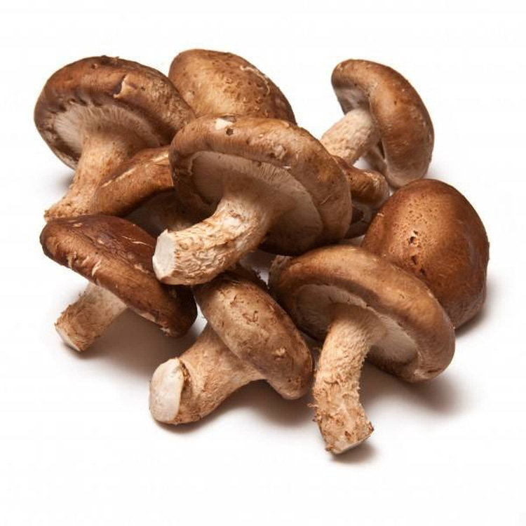 Good Quality Healthy Delicious Natural Household Daily Eating Food Shiitake Mushroom