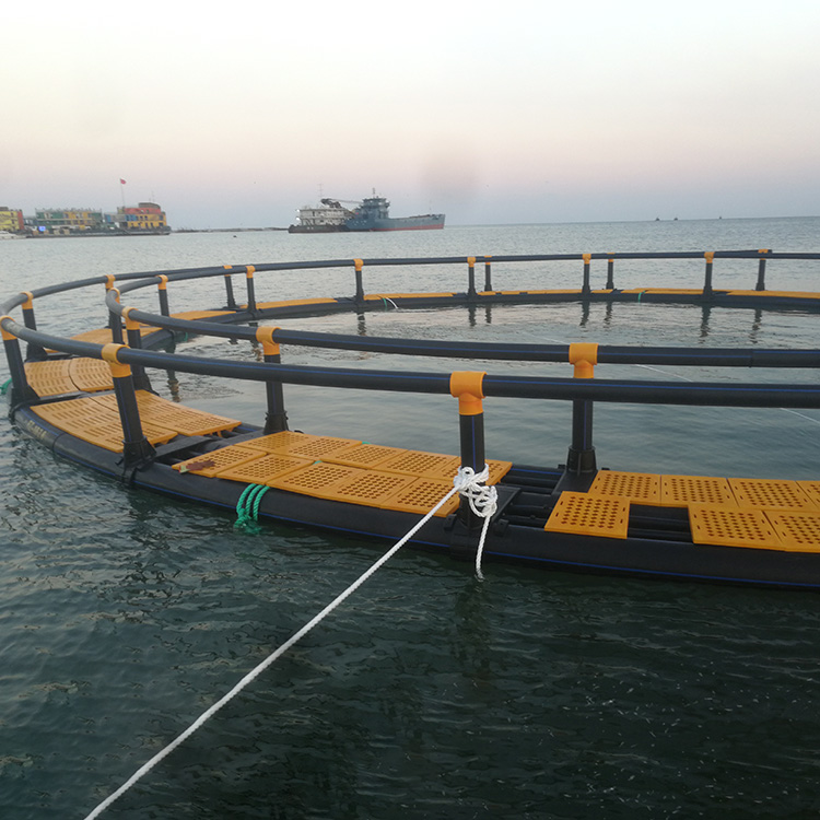 HDPE deep sea aqua culture Farm плавающие клетки для рыбного хозяйства Кения