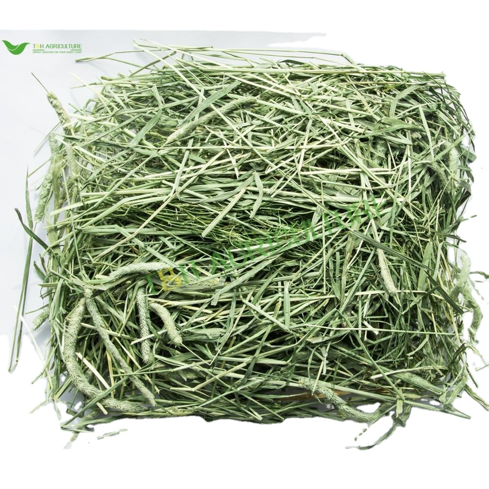 Good/Standard timothy hay bales for Sale